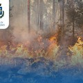 Emergenza incendi, l'ordinanza estiva del Comune di Modugno