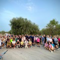 'Salutiamo l'estate in cammino': una passeggiata serale verso la Madonna della Grotta