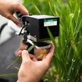 Sensori biocompatibili e intelligenza artificiale nei campi: come Plantvoice guida il mercato dell'Agricoltura 4.0