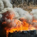 Emergenza incendi, l'ordinanza estiva del Comune di Modugno