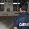 Assalto ad un bancomat, un 23enne di Modugno nella banda della "marmotta"