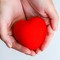 Donazione e cittadinanza, giovedì 2 ottobre incontro a Palazzo Santa Croce a Modugno
