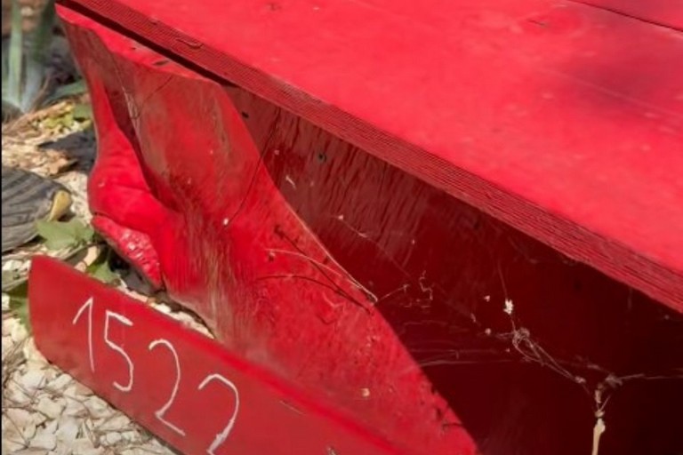 Vandalismo